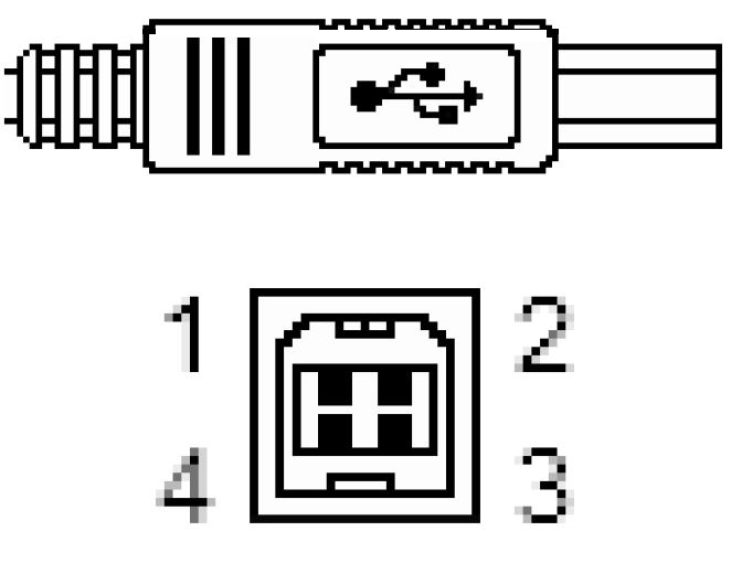 USB tipo B